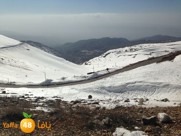 jabalelskheikhlud (20).JPG